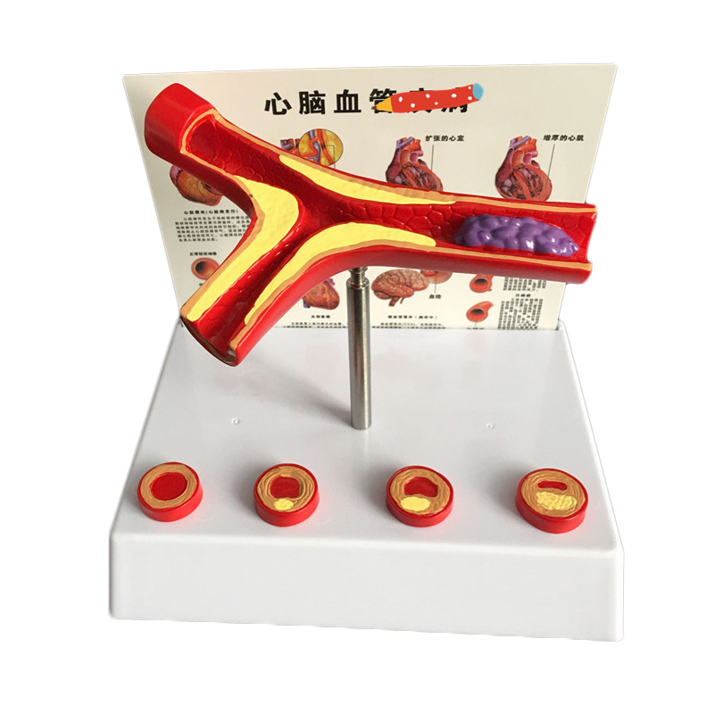 Medical Lab And Science - 50 Lần Mở Rộng Con Người