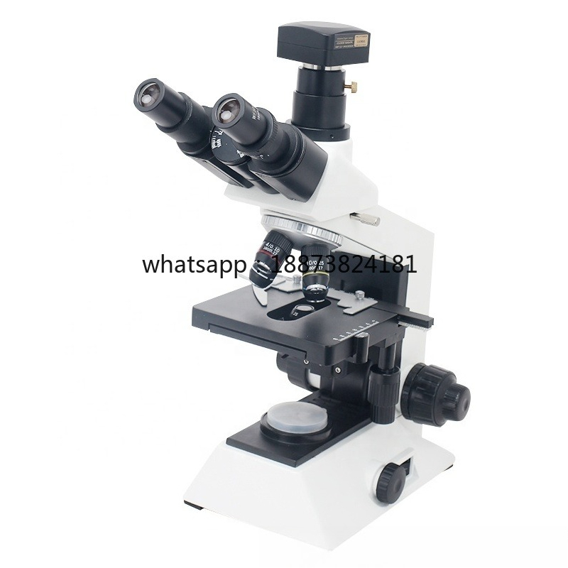 BX301C Binocular Microscope Me - đánh giá và giá Medical Lab Video