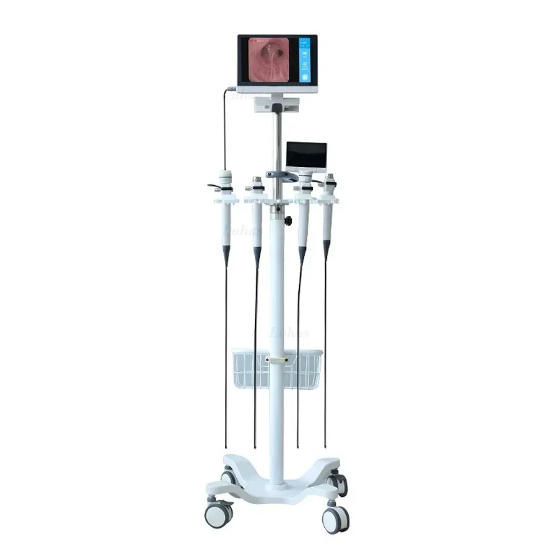 LHBF Por HD Video  Flexible Br - đánh giá và giá Medical Lab Video